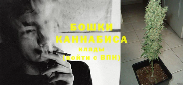 сатива Осинники