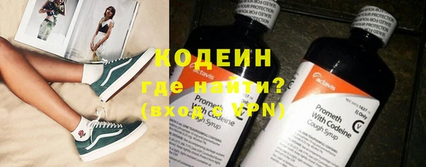 сатива Осинники