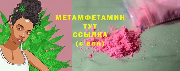 сатива Осинники