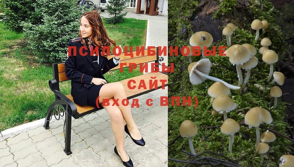 круглые Осташков