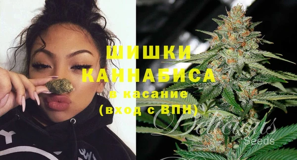 сатива Осинники