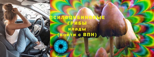mdpv Медногорск