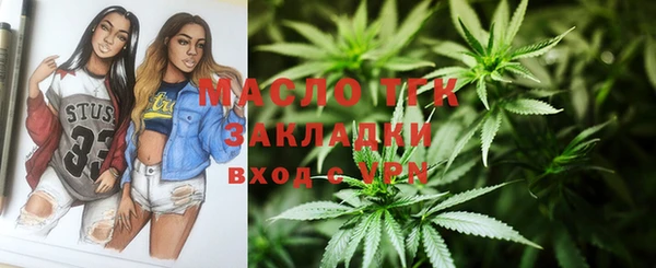сатива Осинники