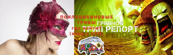 сатива Осинники