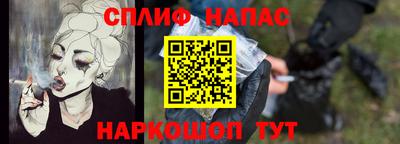 гидра Беслан