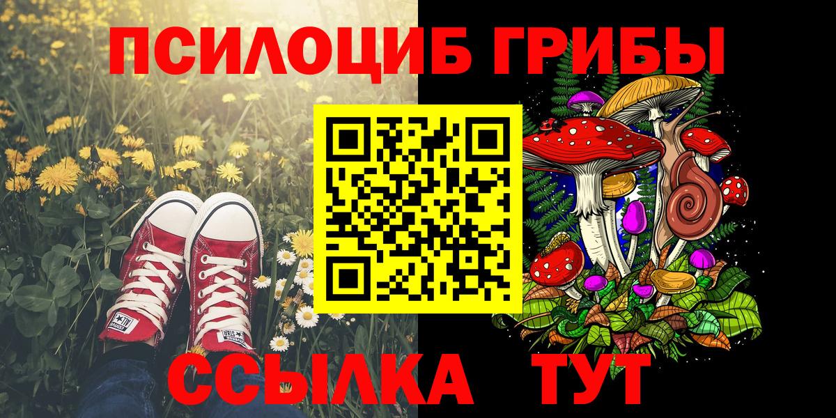Галлюциногенные грибы MAGIC MUSHROOMS  закладки  Псилоцибиновые грибы Psilocybine cubensis  Дербент  Вход с VPN 